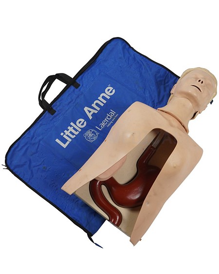 ‘Little Annie’ Resuscitation Model Showing organs